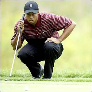 Tiger Woods.bmp